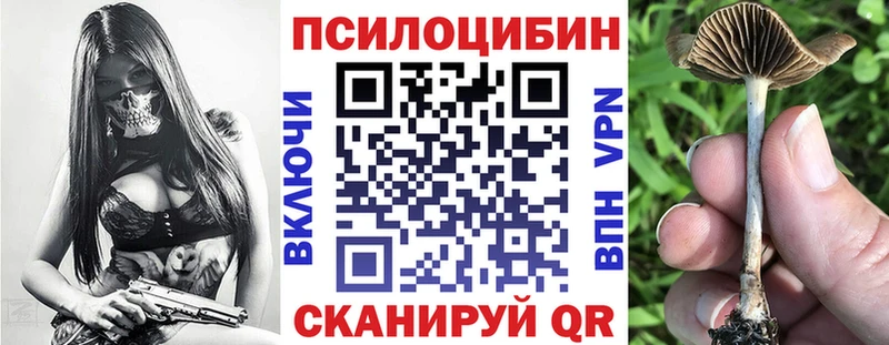 Купить где  Белая Калитва  Галлюциногенные грибы прущие грибы 