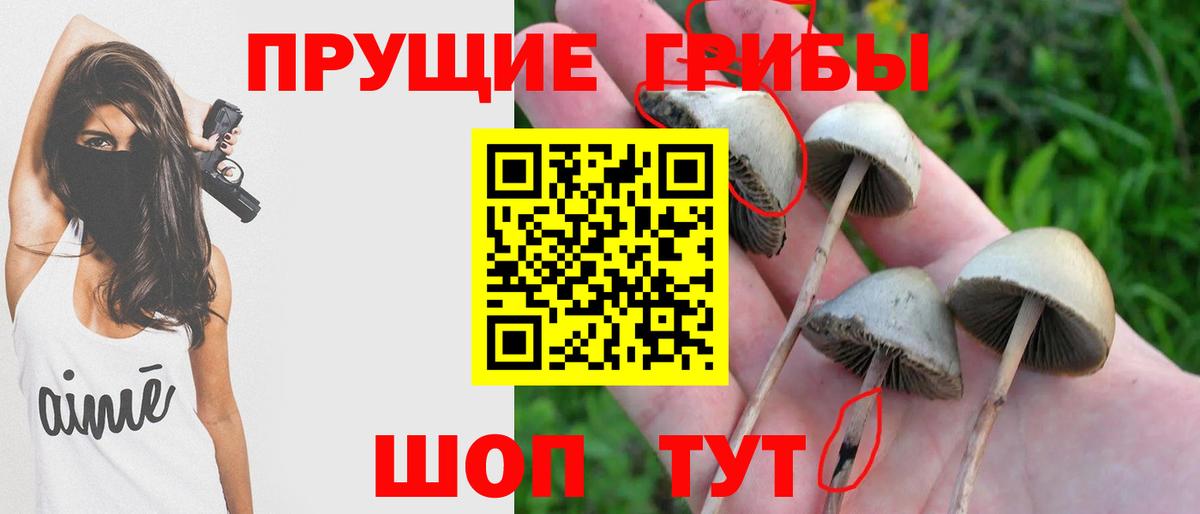 Белая Калитва  купить наркоту  Вход с VPN  Галлюциногенные грибы ЛСД 