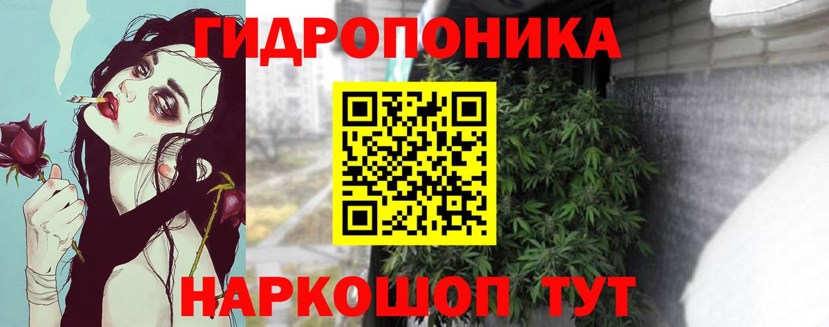 Марихуана планчик  Белая Калитва  Шишки марихуана план  Шишки марихуана ГИДРОПОН 